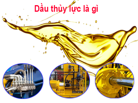 Có bao nhiêu loại dầu trên thị trường hiện nay?