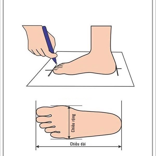 Cách Chọn Size Khi Mua Giày Bảo Hộ Nhập Khẩu